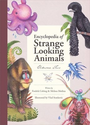 bokomslag Encyclopedia of Strange Looking Animals