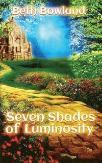 bokomslag Seven Shades of Luminosity