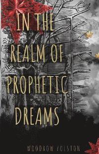 bokomslag In the Realm of Prophetic Dreams