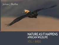 bokomslag Nature As It Happens: African Wildlife: Vol. 1: Birds