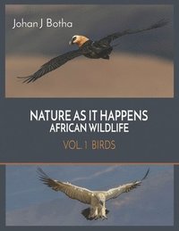 bokomslag Nature As It Happens African Wildlife: Vol 1. Birds