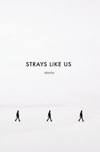 bokomslag Strays Like Us