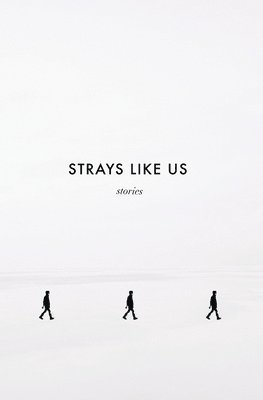 bokomslag Strays Like Us