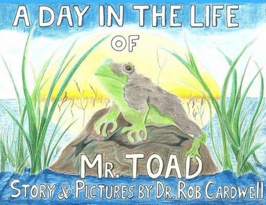 bokomslag A Day in the Life of Mr. Toad