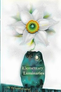 bokomslag Elementary Luminaries