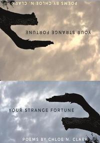 bokomslag Your Strange Fortune