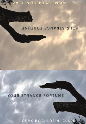 Your Strange Fortune 1