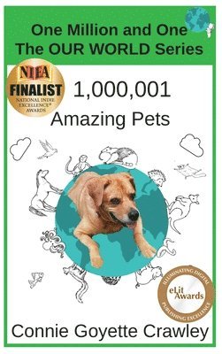 bokomslag One Million and One Amazing Pets