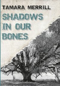 bokomslag Shadows In Our Bones