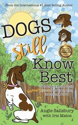 bokomslag Dogs Still Know Best: Two Angels Guide Their Human Through Grief, Learning & Love