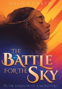 bokomslag The Battle for the Sky
