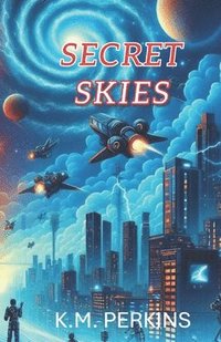 bokomslag Secret Skies