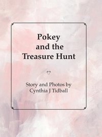 bokomslag Pokey and the Treasure Hunt