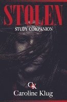 bokomslag Stolen Study Companion: Bible Study