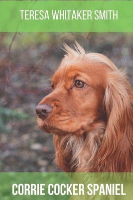 bokomslag Corrie Cocker Spaniel