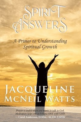 bokomslag Spirit Answers