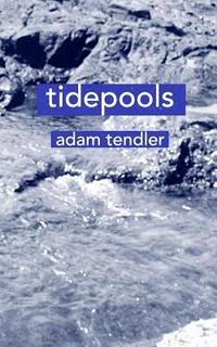 bokomslag Tidepools