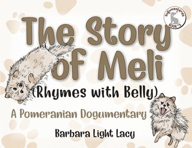 bokomslag Story of Meli (Rhymes with Belly)