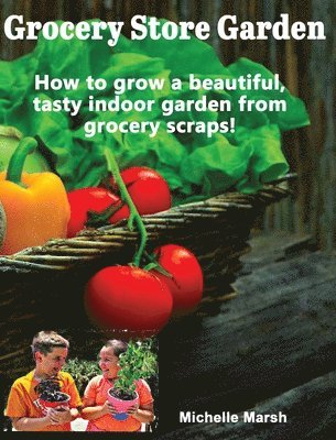 bokomslag Grocery Store Garden: How to Grow a Beautiful, Tasty Indoor Garden from Grocery Scraps