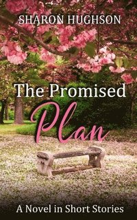 bokomslag The Promised Plan