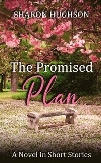 bokomslag The Promised Plan