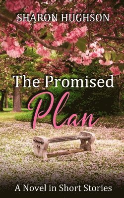 The Promised Plan 1