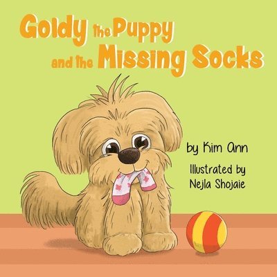Goldy the Puppy and the Missing Socks 1