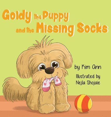 Kim Ann - Goldy the Puppy and the Missing Socks, Inbunden