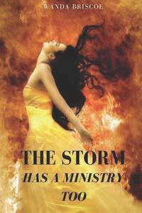 bokomslag The Storm Has A Ministry Too