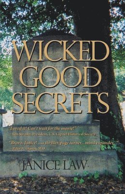 bokomslag Wicked Good Secrets