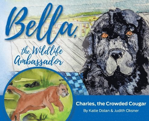 Bella, the Wildlife Ambassador: Charles, the Crowded Cougar