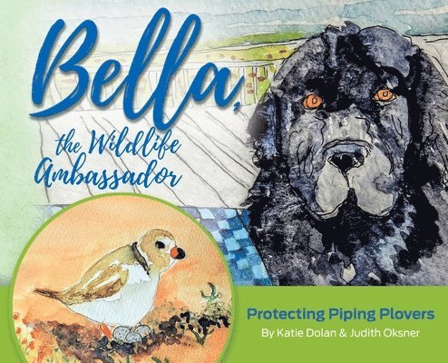 Bella, the Wildlife Ambassador: Protecting Piping Plovers 1