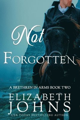 Elizabeth Johns - Not Forgotten, Häftad