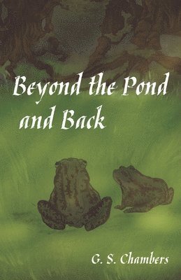 Beyond the Pond and Back 1