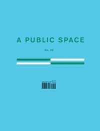 bokomslag A Public Space No. 30