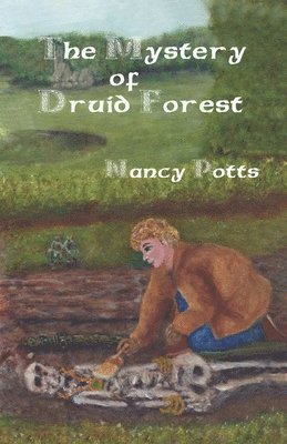 The Mystery of Druid Forest 1