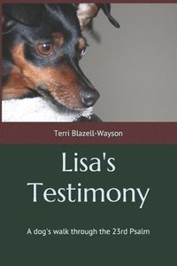 bokomslag Lisa's Testimony