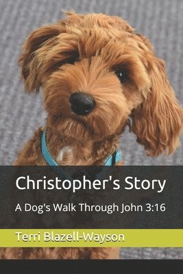 Christopher's Story 1