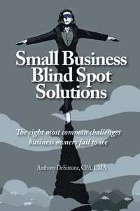 bokomslag Small Business Blind Spot Solutions: The eight most common challenges business owners fail to see
