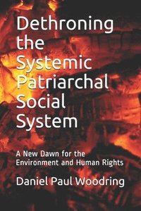 bokomslag Dethroning the Systemic Patriarchal Social System: A New Dawn for the Environment and Human Rights