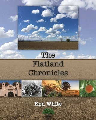 Ken White - Flatland Chronicles, Häftad