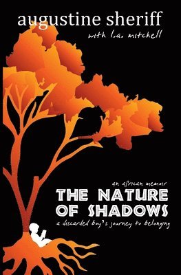 bokomslag Nature of Shadows
