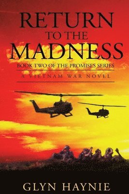 Return To The Madness: A Vietnam War Novel 1