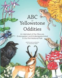bokomslag ABC OF Yellowstone Oddities