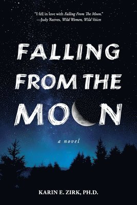 Falling from the Moon 1