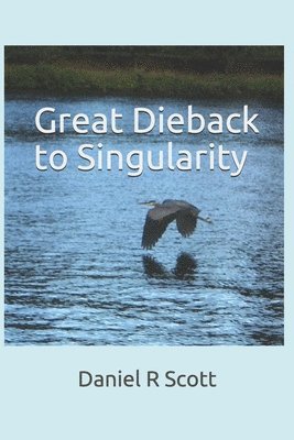 bokomslag Great Dieback to Singularity