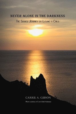 Never Alone in the Darkness 1