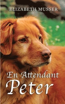 Elizabeth Musser - En Attendant Peter, Häftad