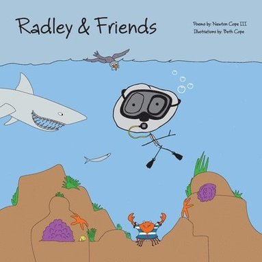 bokomslag Radley & Friends