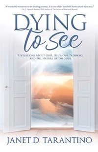 bokomslag Dying to See: Revelations About God, Jesus, Our Pathways, and The Nature of the Soul